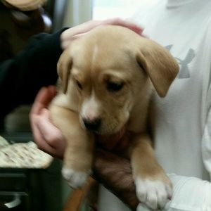 Meet your Posher, Sharon